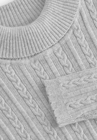 Next ROLL NECK - REGULAR FIT - Džemperis - grey