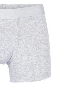 JBS OF DENMARK 9-PACK   - Panties - mottled light grey