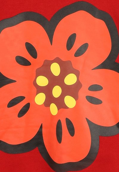 Tessuto rosso con un grande motivo di fiore rosso, caratterizzato da un centro marrone con accenti ovali gialli e contorni neri. Texture liscia.