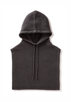 DICKEY - Felpa con cappuccio - grey