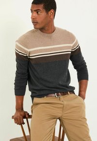 Gestrickter Pullover in Grau, Beige und Dunkelbraun mit horizontalen Streifen. Verfügt über einen Rundhalsausschnitt und gerippte Bündchen. Kombiniert mit khakifarbenen Hosen.