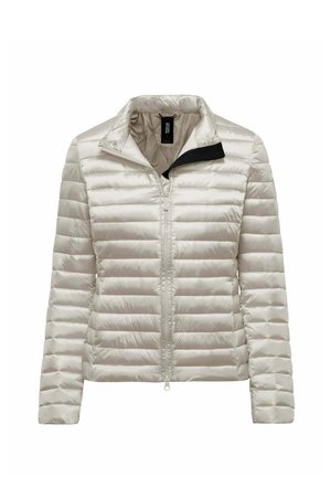 Lichtgrijze gewatteerde donsjas met volledige ritssluiting aan de voorkant en hoge kraag, ontworpen voor warmte en casual gebruik.