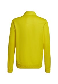 Gelbe Jacke mit glatter Textur, Stehkragen, langen Ärmeln und elastischen Bündchen. Der Rücken ist einfarbig ohne sichtbare Logos oder Muster.