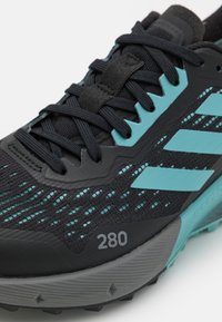 adidas Performance TERREX AGRAVIC FLOW 2 - Zapatillas - core black/dash grey/footwear white