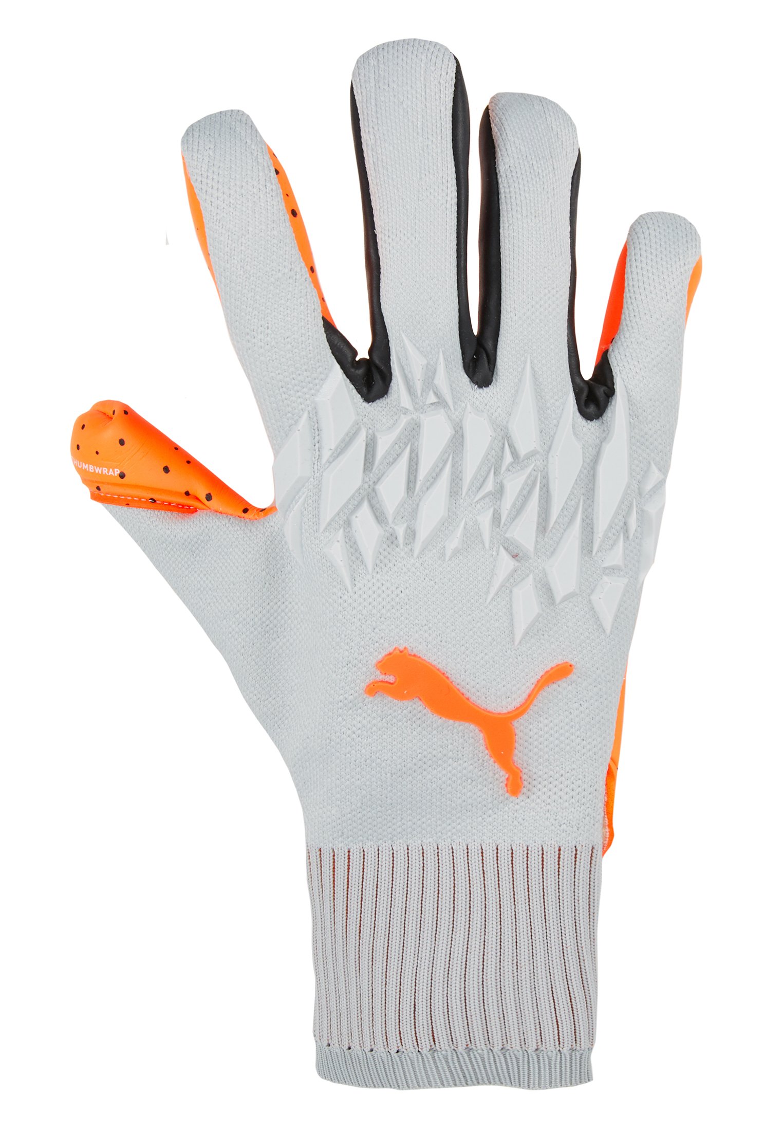 puma future 19.1 torwarthandschuhe