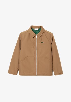 Chaqueta marrón con cremallera, cuello, dos bolsillos delanteros, forro interior verde y pequeño logo verde de cocodrilo en el pecho.