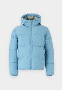 JORVESTERBRO PUFFER JACKET  - Vinterjakker - mountain spring