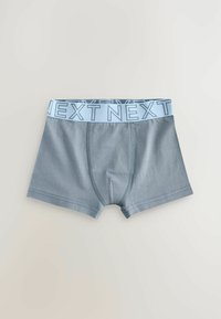 Boxer-briefs gris avec une ceinture élastique bleu clair portant le mot "NEXT" en lettres majuscules. Tissu lisse avec un design ajusté.