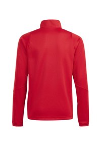 Rood langarmpullover met een hoge kraag. Glad textuur en aansluitend design, met raglanmouwen en zonder zichtbare sluitingen.