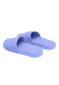 Kubota Pool slides - mottled purple