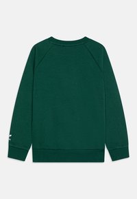 Grön sweatshirt med en slät textur, raglanärmar, rundad halsringning och ribbade muddar. Har logotypdetalj på vänstra ärmen.