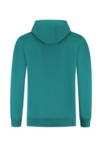 Turquoise hoodie met een gladde textuur, voorzien van een standaard capuchon, lange mouwen en geribbelde manchetten en zoom. Simpel ontwerp, zonder patronen of accenten.