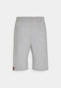 Shorts de sport gris en tissu doux, dotés d'une taille élastique, d'une poche arrière et d'une petite étiquette logo sur le côté.