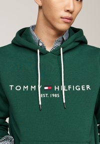 Žalias džemperis su gaubtu, su baltais raišteliais ir išsiuvinėtu "TOMMY HILFIGER EST. 1985" logotipu. Vidinėje apykaklėje - languotas raštas.