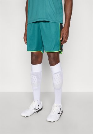 CHALLENGER TRAIN SHORT - Sporta šorti - rack green/white