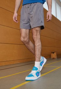 Jordan Korte sportsbukser - smoke grey/black