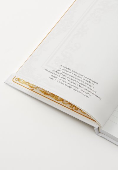 Versace NOTEBOOK MEDUSA GALA - Σημειωματάριο - white/gold-coloured