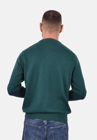 Grüner Pullover aus weichem Strickstoff, mit einem klassischen Rundhalsausschnitt, gerippten Bündchen und Saum. Über Jeans getragen, von hinten gezeigt.