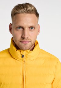 Geel pufferjack met een hoge kraag, rits aan de voorkant en gewatteerde textuur. Heeft een gladde afwerking en een subtiele zwarte ritsaccent.
