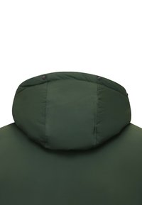 Groene gewatteerde jas met capuchon, voorzien van stikdetails en zwarte drukknoopsluitingen aan de achterkant. Glad oppervlak en effen kleur.