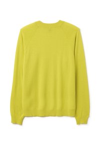 Maglione verde lime con maniche lunghe, scollatura rotonda e polsini a coste. Tessuto morbido senza fantasie o dettagli. Mostra la vista posteriore.