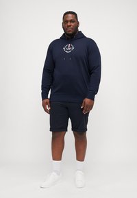 Tommy Hilfiger GLOBAL STRIPE WREATH HOODY - Hoodie - desert sky