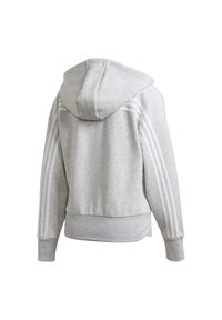 Sweat à capuche gris clair avec une capuche et trois bandes blanches courant sur toute la longueur de chaque manche, vu de dos.