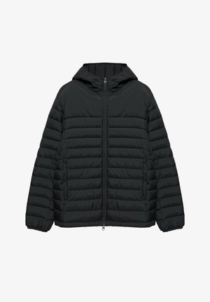 PULL&BEAR, LIGHTWEIGHT HOODED - PUFFER JACKET - Vinterjakker - black