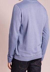 Light blue fleece sweatshirt with a ribbed hem and cuffs, featuring a soft texture and a crew neck design, viewed from the back.