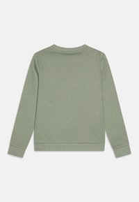 Sudadera verde claro, material de algodón, cuello redondo, mangas largas. Presenta puños y dobladillo acanalados, textura suave, sin patrones visibles.
