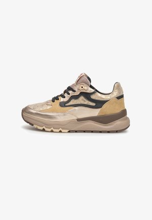 Floris van Bommel, FLORIS VAN BOMMEL SNEAKER TRENI 01 - Baskets basses - gold