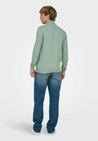 Lichtgroene trui met geribbelde kraag en zoom, gecombineerd met blauwe spijkerbroek. De trui heeft een ontspannen pasvorm en een gladde textuur.