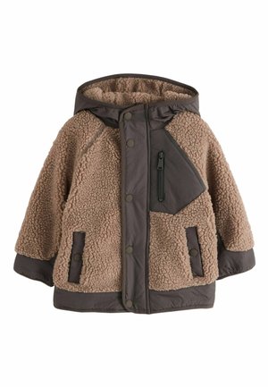REGULAR FIT - Winterjacke - brown