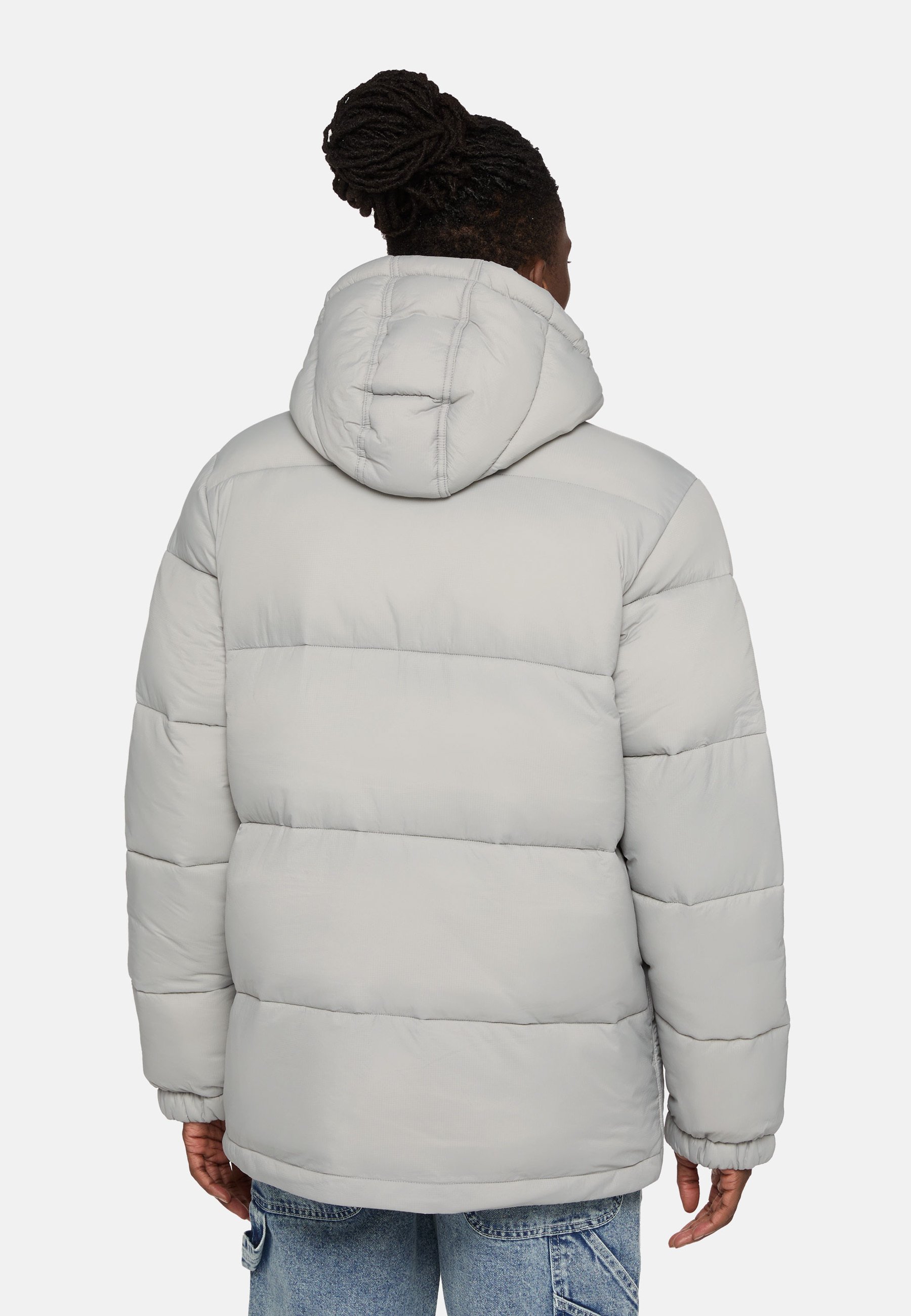 Dickies WALDENBURG HOODED - Winter jacket - ultimate gray/light