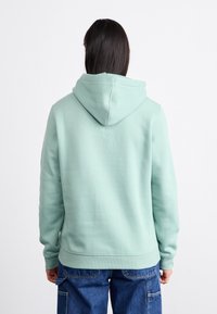 Mint green hoodie with a soft texture, featuring a large hood, ribbed cuffs, and a straight-bottom hem. Viewed from the back.