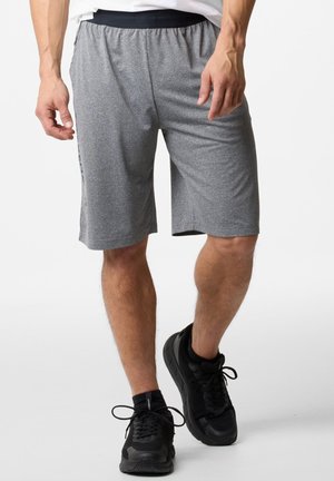 Swedemount VERTICAL - Short de sport - grey melange