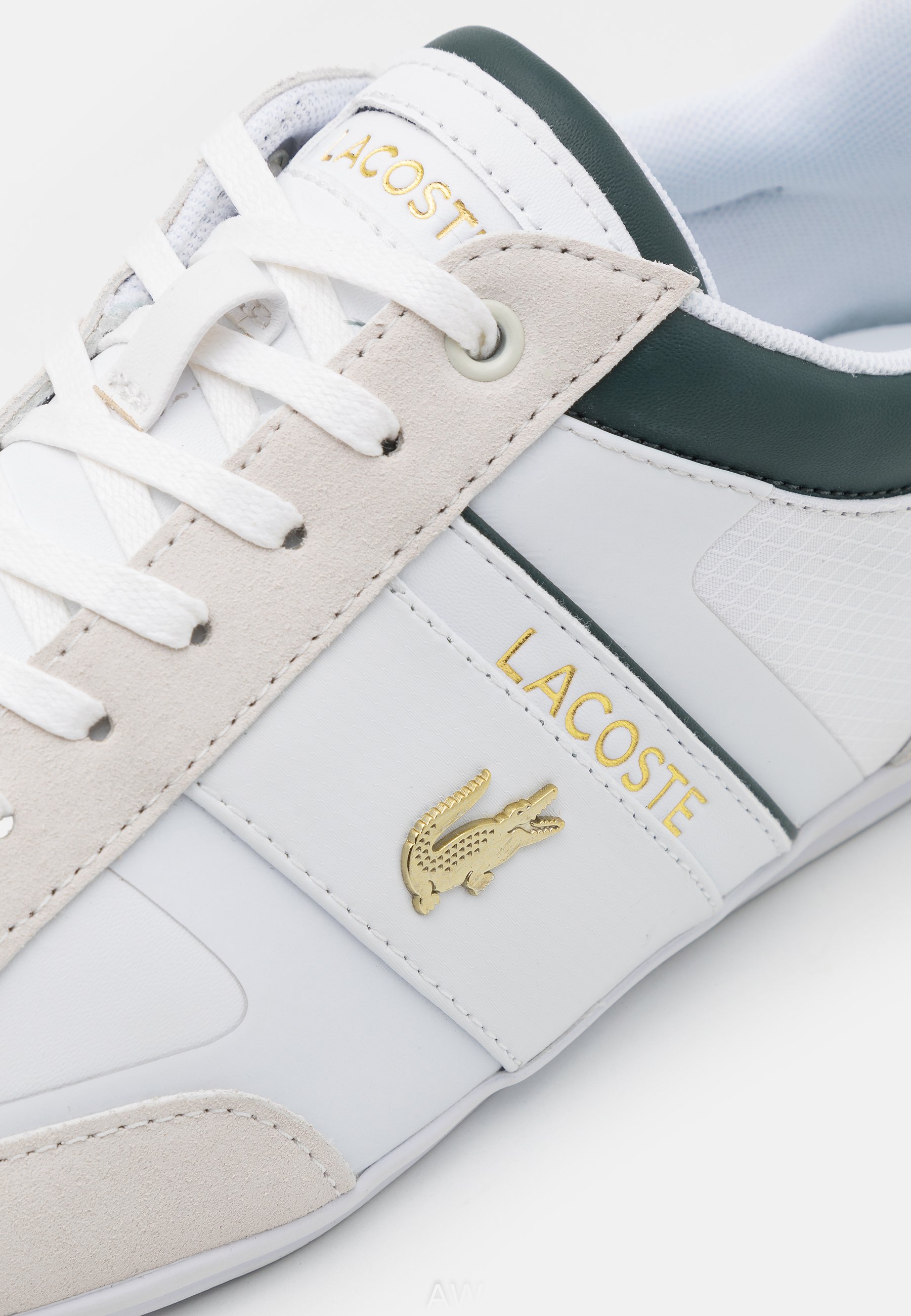 lacoste chaymon zalando