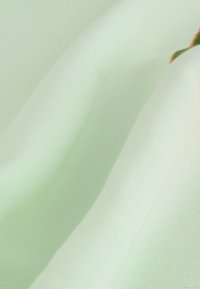 Svetlozelená látka s textúrovaným, rebrovaným povrchom. Materiál je mäkký a hladký, s jemnými záhybmi a závesmi.
