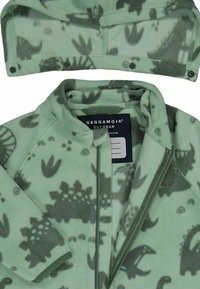 Vihreä fleece-takki, jossa on dinosaurusten kuvia. Takissa on vetoketjukiinnitys ja huppu. Pehmeä materiaali ja raglan-hihat tarjoavat mukavuutta.