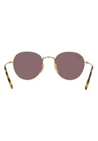 Occhiali da sole rotondi con montatura in metallo dorato e lenti marroni. Le astine presentano un motivo tartarugato. Naselli regolabili per il massimo comfort.