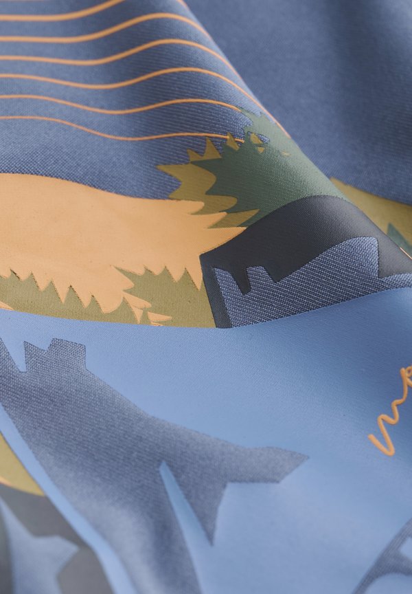 COTshirt - Print T-shirt - vintage indigo3