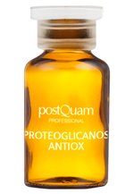 PostQuam SKIN CARE PROTEOGLYCAN ANTIOXYDANT (10 VIALS) - Anti-Aging - - -  Zalando.de