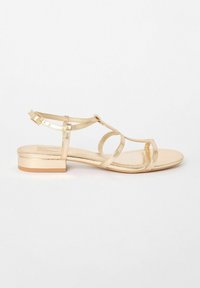 Friends Like These REGULAR FIT - LOW BLOCK CAGED - Sandaalid - gold