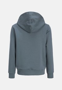 Jack & Jones EURBAN - Kapuzenpullover - grau