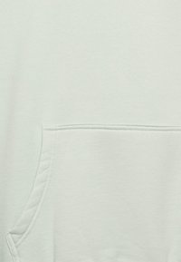 Pegador LOGO OVERSIZED  - Sweatshirt com capuz - washed milky green