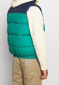 Chaleco acolchado en verde y azul marino con secciones acolchadas, dobladillo elástico y cierre de cremallera. Lleva sobre una sudadera de color claro y pantalones caqui.