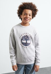 Felpa grigia con un logo centrale circolare raffigurante un albero e la scritta "TIMBERLAND SINCE 1973". Collo a giro e maniche lunghe.