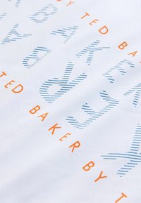 Valge kangas, millel on sinise ja oranži kirjaga triibuline disain, kujutades brändi nime "Ted Baker" erinevates suurustes ja paigutustes.