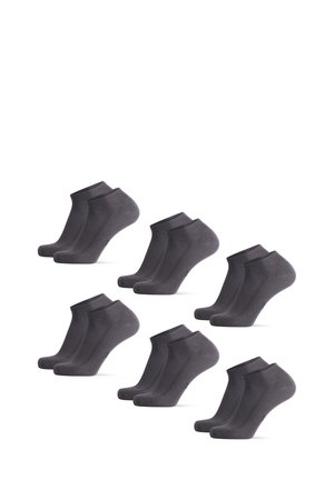 LOW-CUT BAMBOO 6 PACK - Sukat - grey