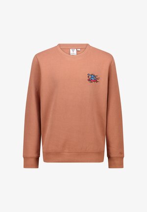 Bruine sweatshirt gemaakt van zachte stof, met een geborduurd ontwerp in blauw en rood van een persoon op een skateboard. Ronde hals en geribbelde manchetten.